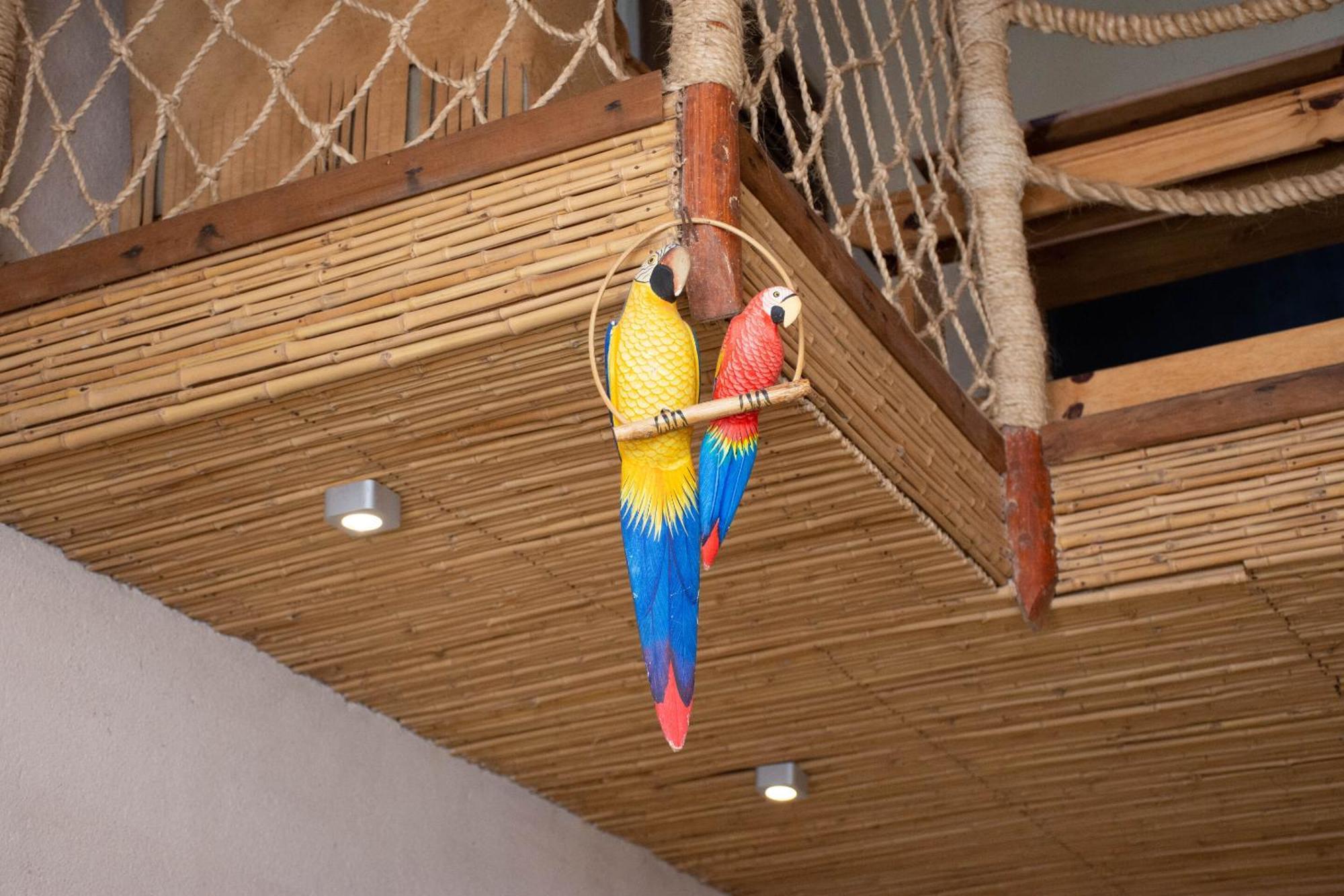Demeure De La Compagnie Generale Des Huiles Precieuses Bed & Breakfast Ifaty Bilik gambar