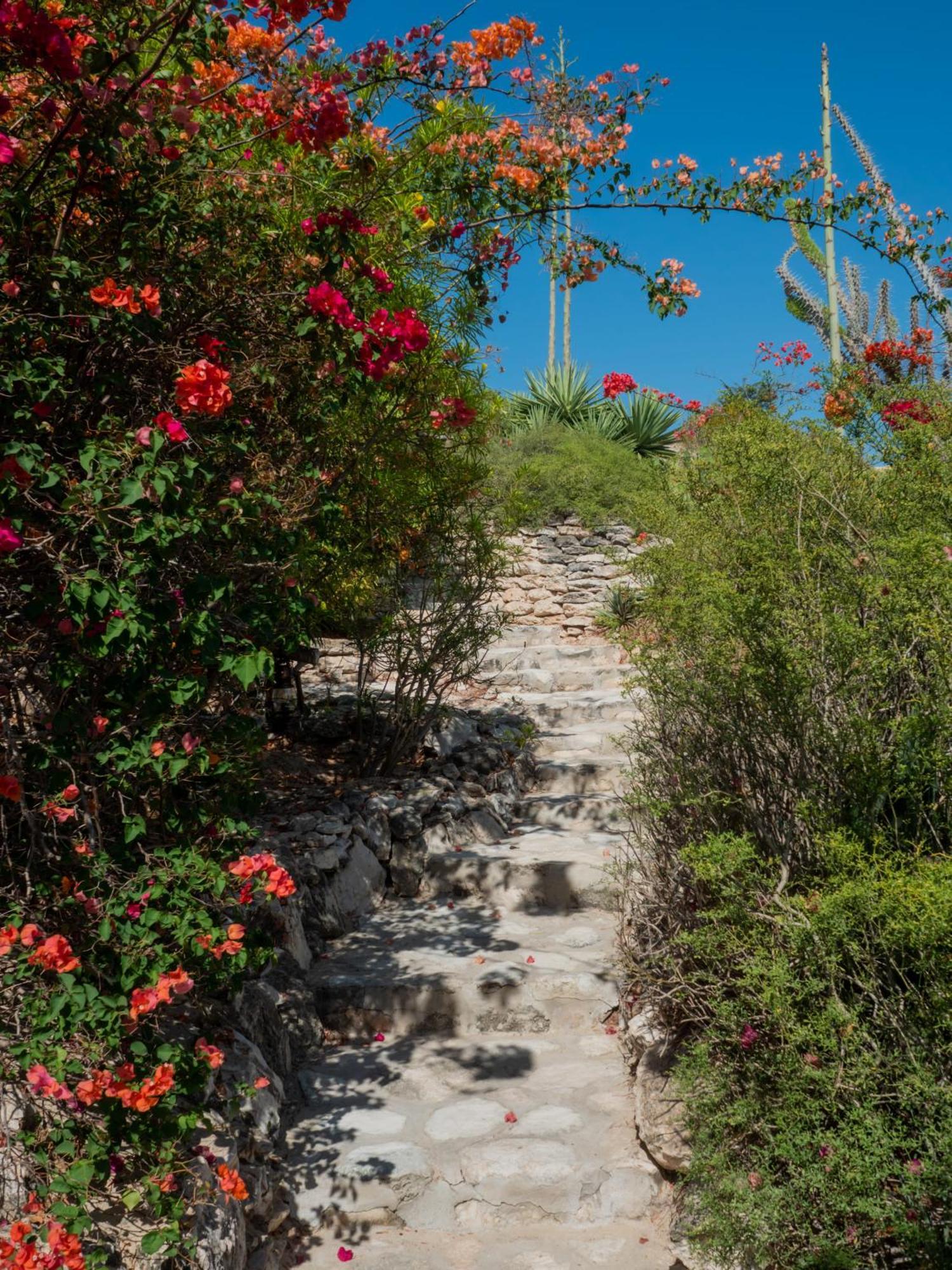 Demeure De La Compagnie Generale Des Huiles Precieuses Bed & Breakfast Ifaty Luaran gambar