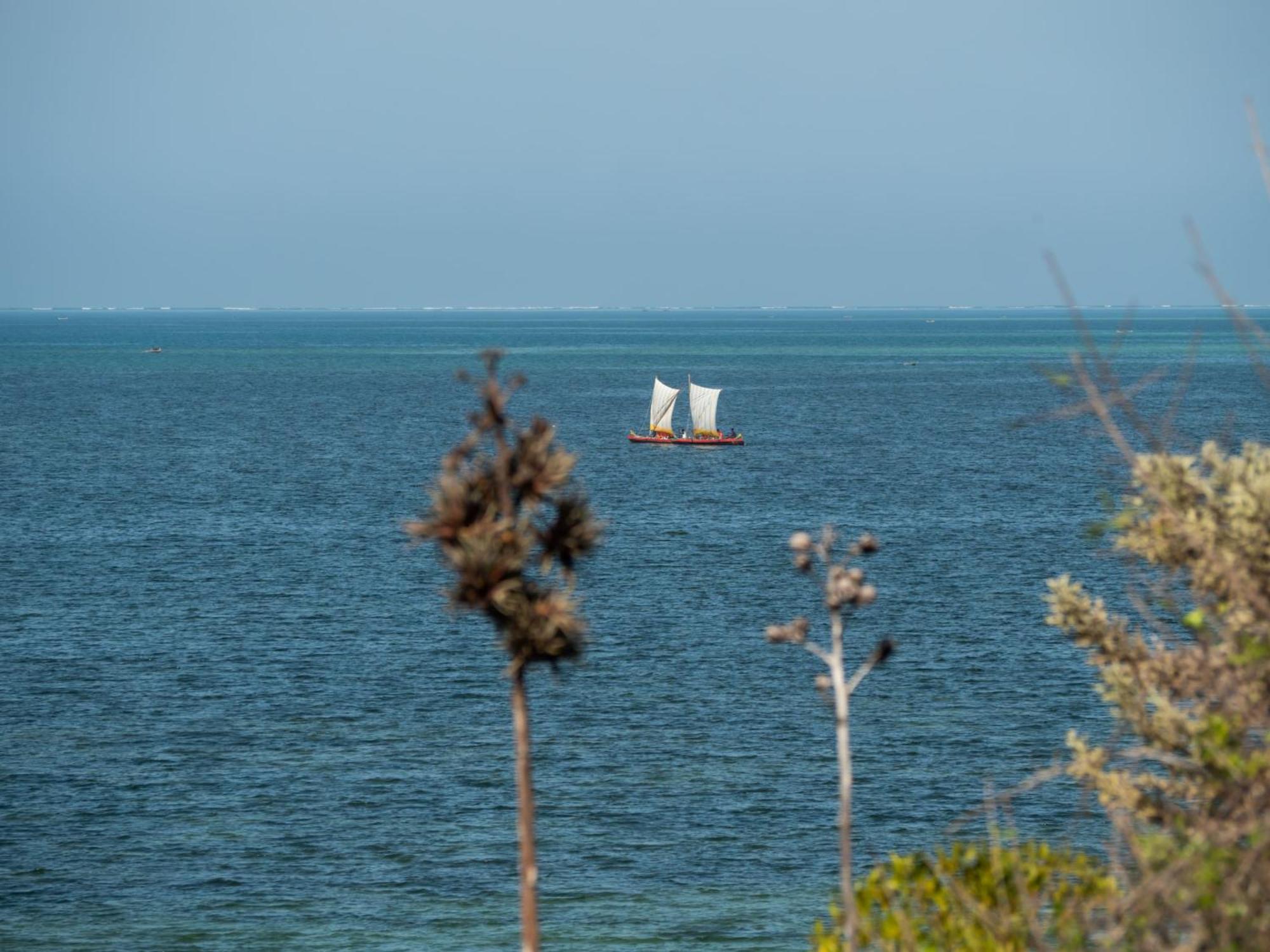 Demeure De La Compagnie Generale Des Huiles Precieuses Bed & Breakfast Ifaty Luaran gambar